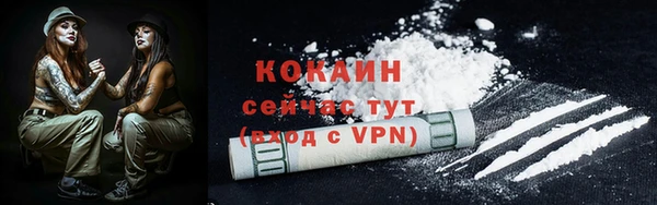 молекула духа Покров