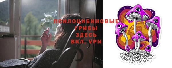 MESCALINE Покачи