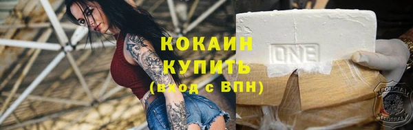гашик Покровск