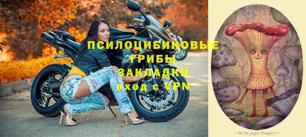 молекула духа Покров
