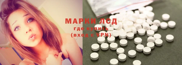 молекула духа Покров