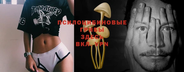 MESCALINE Покачи
