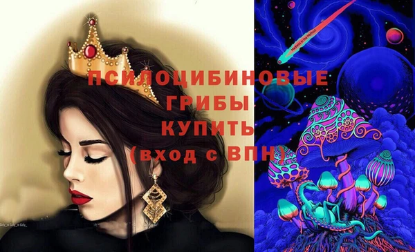 гашик Покровск
