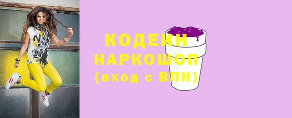 молекула духа Покров