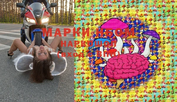 молекула духа Покров