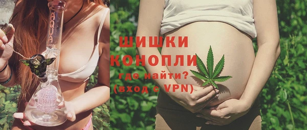 молекула духа Покров