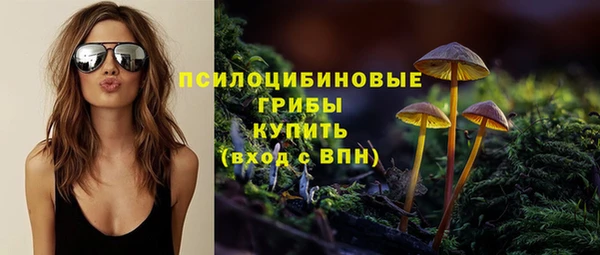 гашик Покровск
