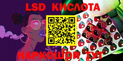 ГАЛЛЮЦИНОГЕННЫЕ ГРИБЫ Аргун