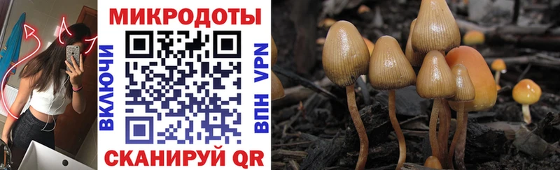 Псилоцибиновые грибы Psilocybe MEGA ссылка Владикавказ как найти