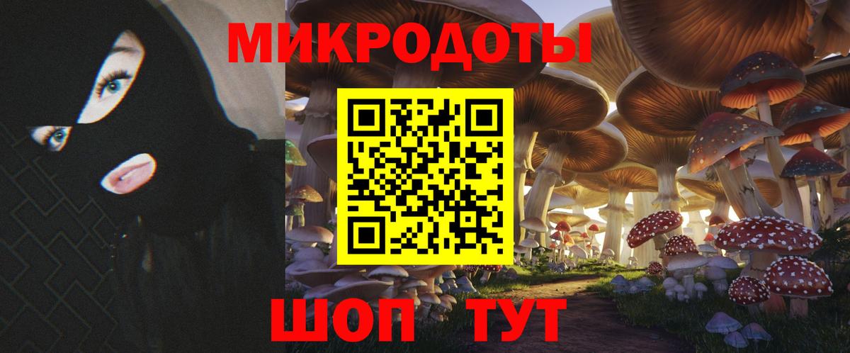 Галлюциногенные грибы мицелий Владикавказ