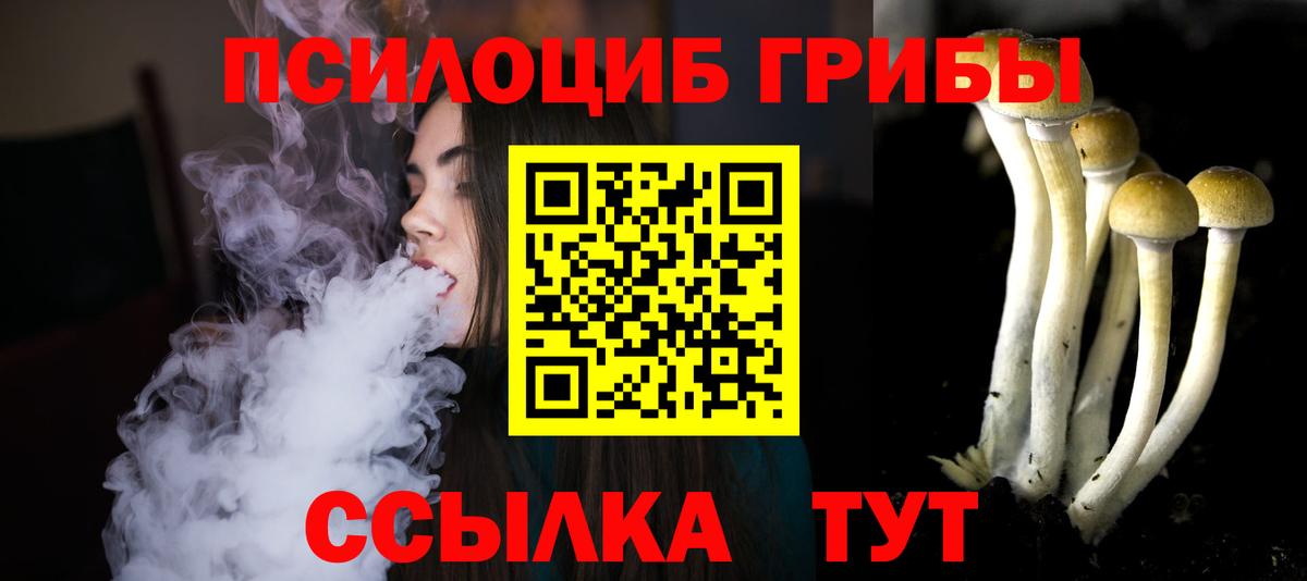 купить   Псилоцибиновые грибы мицелий  Владикавказ  Галлюциногенные грибы ЛСД 